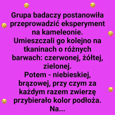 Kameleon kontra konfetti