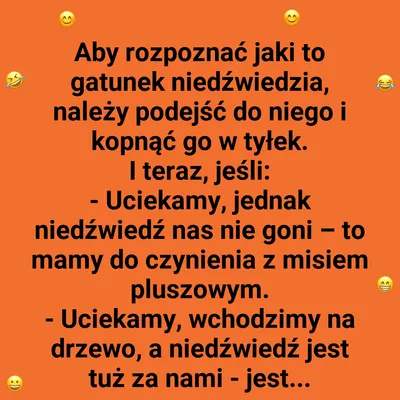 Niedźwiedzia klasyfikacja