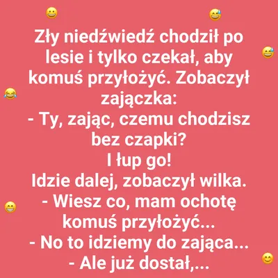 Niedźwiedzia logika